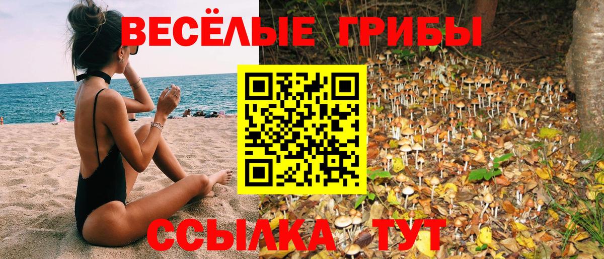 Звенигород  Псилоцибиновые грибы прущие грибы  Вход с VPN  Псилоцибиновые грибы прущие грибы 